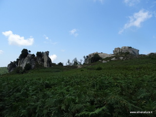Argimusco